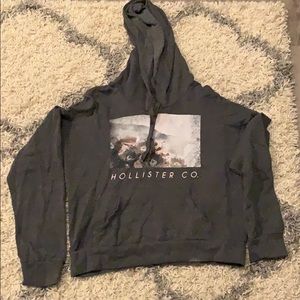 Hollister Sweatshirt